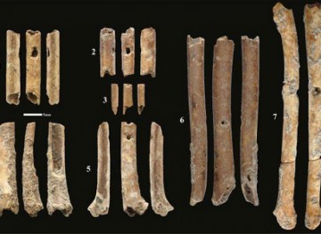 Ancient flutes from the Levant