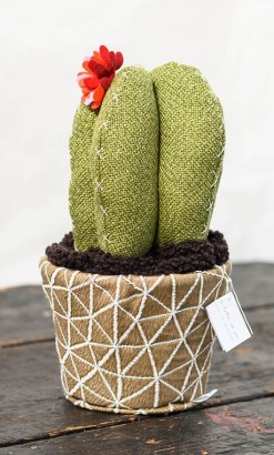 Cactus fermaporta